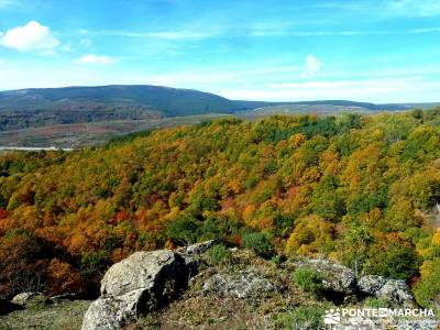 La Dehesa Bonita - Abedular de Somosierra_ viajes de un día desde Madrid